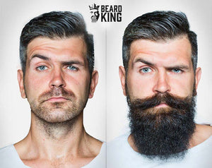 BeardKing | The Beard Bib 